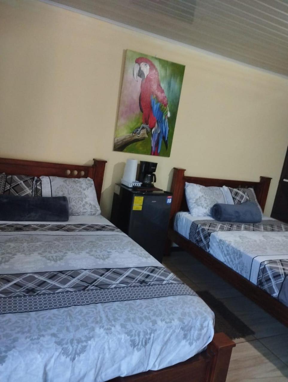 Anchia - Hostel ألاخويلا المظهر الخارجي الصورة